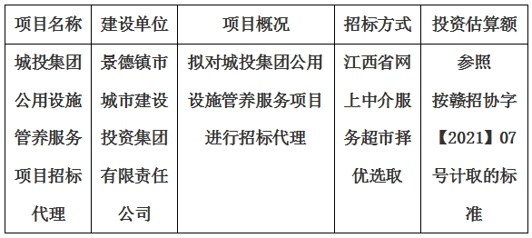 城投集團公用設施管養服務項目招標代理計劃公告