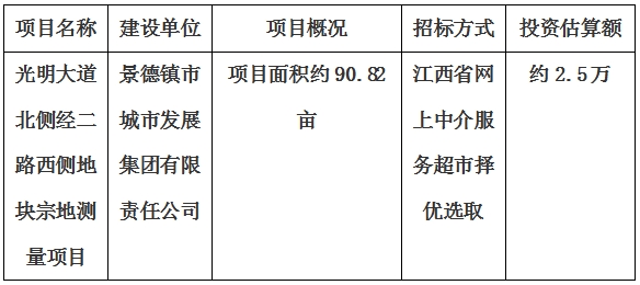 景德鎮市光明大道北側經二路西側地塊宗地測量項目計劃公告