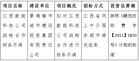 江西數能科技公司戰略合作財務盡調計劃公告