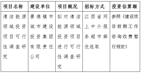 清潔能源領域投資項目可行性調(diào)查研究計劃公告