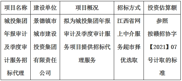 城投集團年報審計及季度審計服務招標代理計劃公告