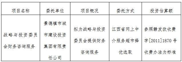 戰略與投資委員會財務咨詢服務計劃公告