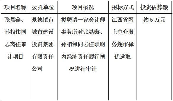 張顯鑫、孫相偉同志離任審計項目計劃公告