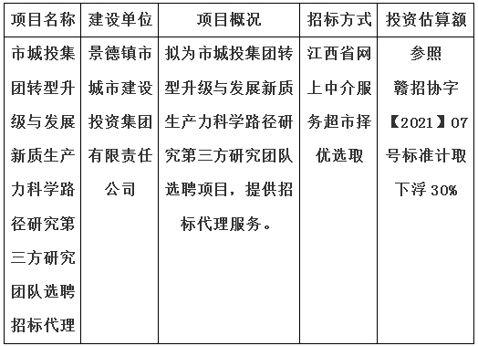 市城投集團轉型升級與發展新質生產力科學路徑研究第三方研究團隊選聘招標代理計劃公告