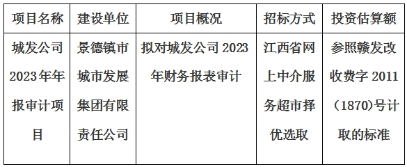 城發公司2023年年報審計項目計劃公告