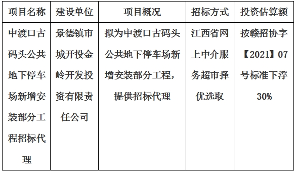 中渡口古碼頭公共地下停車場新增安裝部分工程招標代理計劃公告